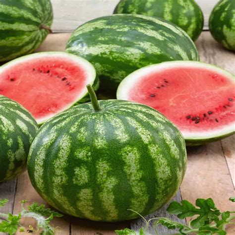 wholesale watermelon near me.